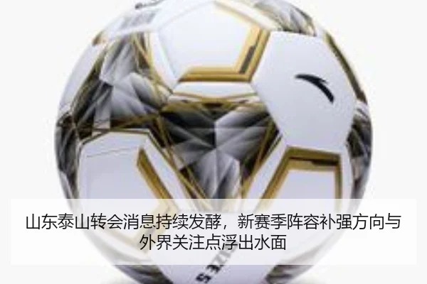 山东泰山转会消息持续发酵，新赛季阵容补强方向与外界关注点浮出水面